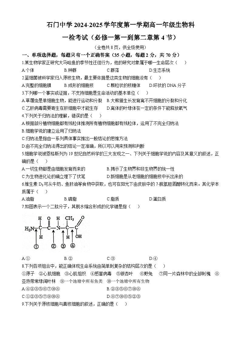 廣東省佛山市南海區(qū)石門(mén)中學(xué)2024-2025學(xué)年高一上學(xué)期10月月考生物試題(無(wú)答案)第1頁(yè)