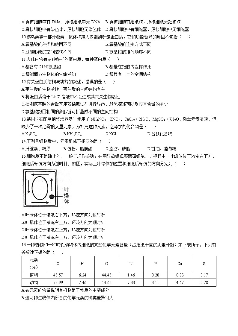 廣東省佛山市南海區(qū)石門(mén)中學(xué)2024-2025學(xué)年高一上學(xué)期10月月考生物試題(無(wú)答案)第2頁(yè)