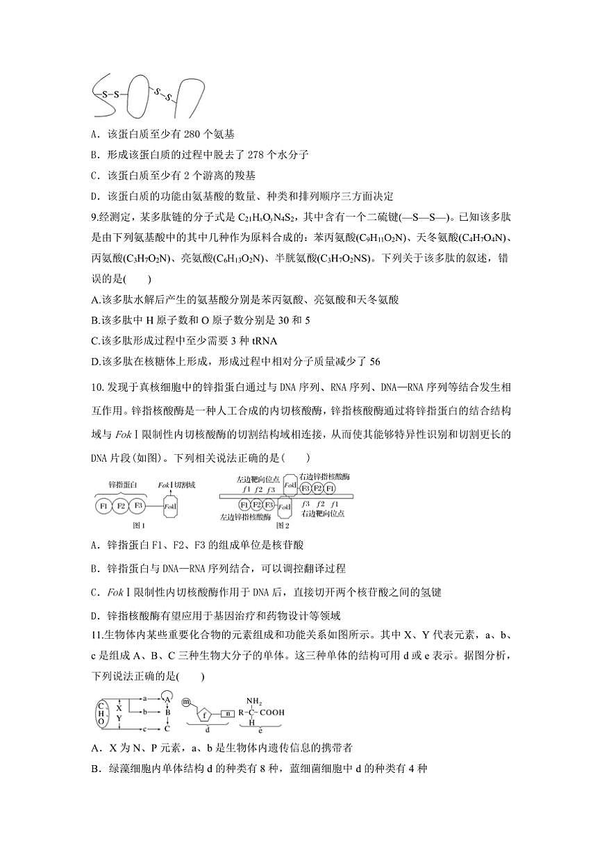 [生物]陜西省西安市藍(lán)田縣藍(lán)田縣城關(guān)中學(xué)大學(xué)區(qū)聯(lián)考2024～2025學(xué)年高一上學(xué)期10月月考學(xué)試題(有答案)第3頁