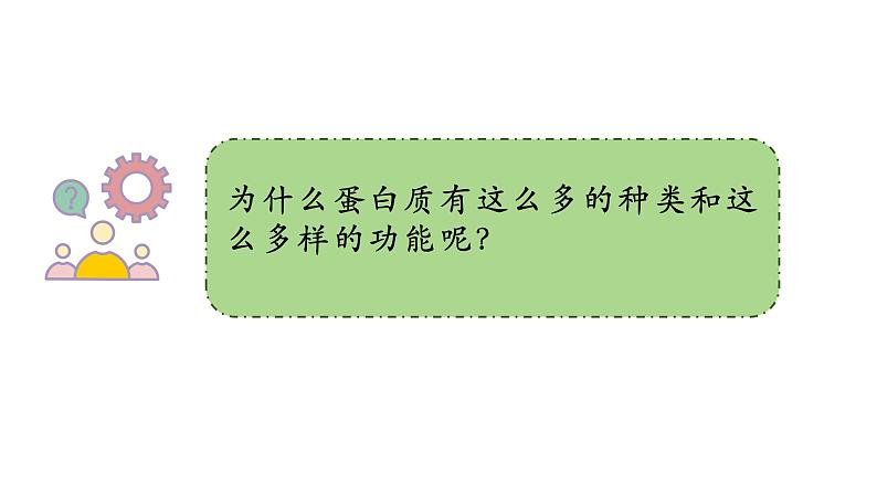 人教版(2019)高中生物必修一《分子与细胞》第二章第四节2.4蛋白质是生命活动的主要承担者(第一课时)-课件06
