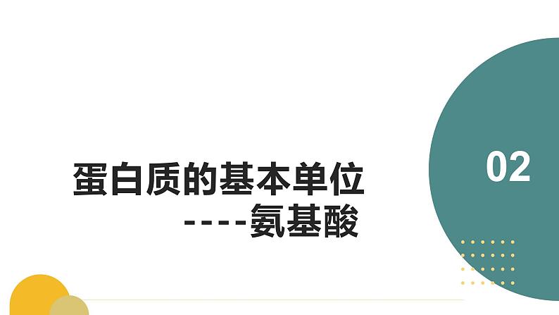 人教版(2019)高中生物必修一《分子与细胞》第二章第四节2.4蛋白质是生命活动的主要承担者(第一课时)-课件07