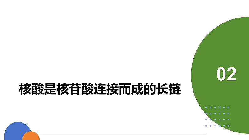 人教版(2019)高中生物必修一《分子与细胞》第二章第五节2.5核酸是遗传信息的携带者-课件第8页