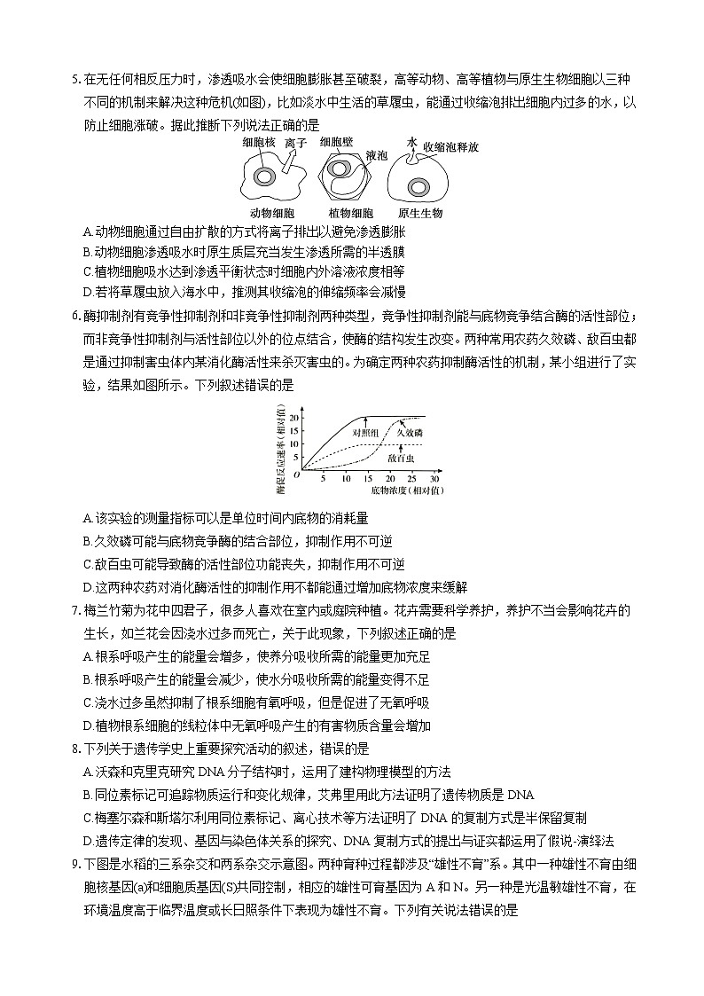 生物试题第2页
