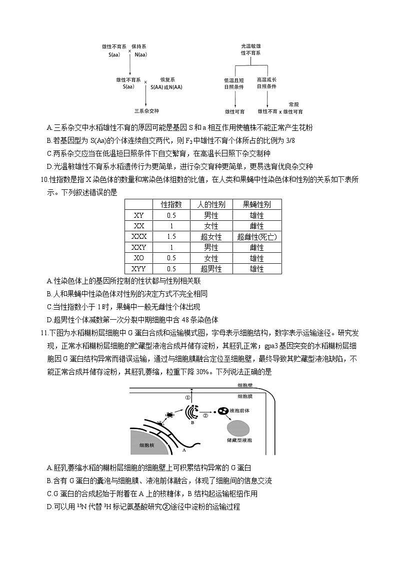 生物试题第3页