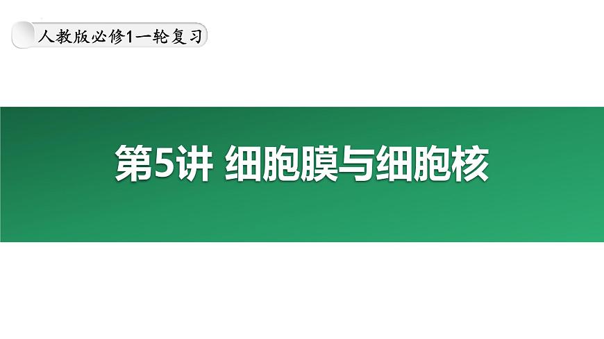 第5講 細(xì)胞膜與細(xì)胞核-備戰(zhàn)2025年高考生物大一輪復(fù)習(xí)課件(新高考通用)第1頁