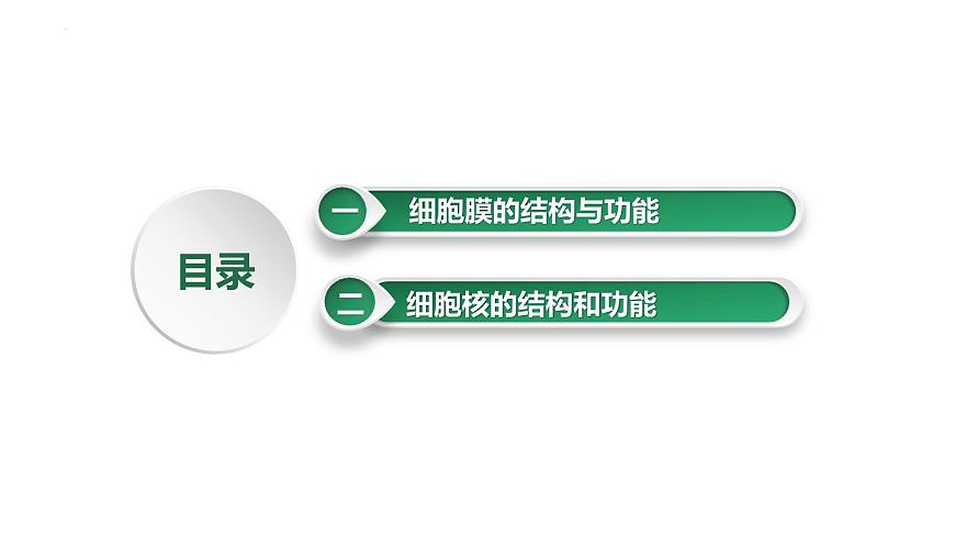 第5講 細(xì)胞膜與細(xì)胞核-備戰(zhàn)2025年高考生物大一輪復(fù)習(xí)課件(新高考通用)第2頁