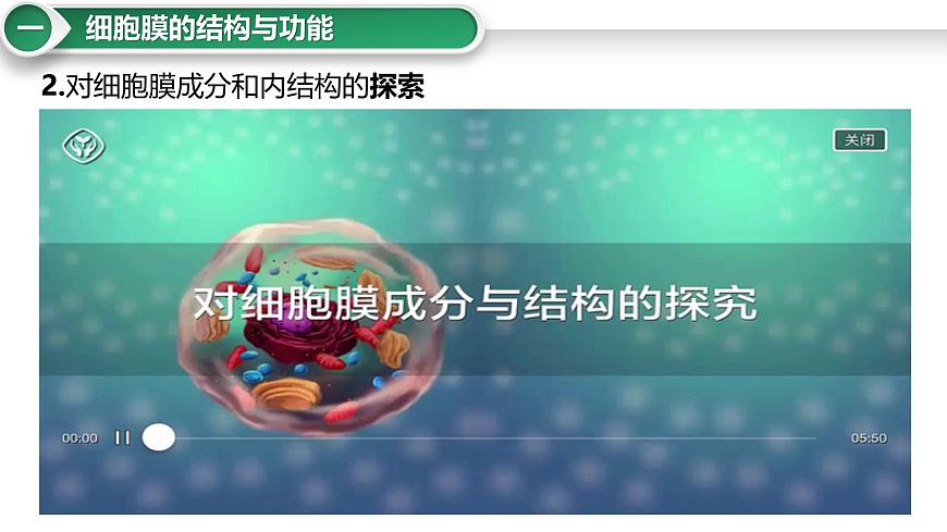 第5講 細(xì)胞膜與細(xì)胞核-備戰(zhàn)2025年高考生物大一輪復(fù)習(xí)課件(新高考通用)第7頁
