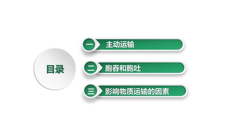 第8讲 主动运输-备战2025年高考生物大一轮复习课件(新高考通用)第2页