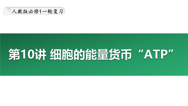 第10讲 细胞的能量货币“ATP”-备战2025年高考生物大一轮复习课件(新高考通用)01