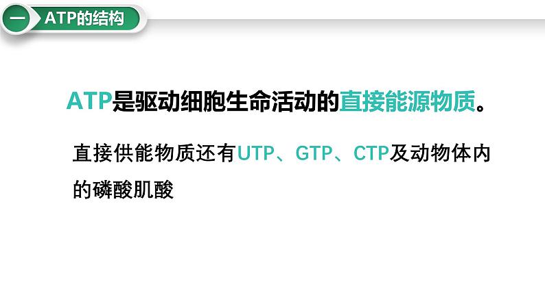 第10讲 细胞的能量货币“ATP”-备战2025年高考生物大一轮复习课件(新高考通用)04