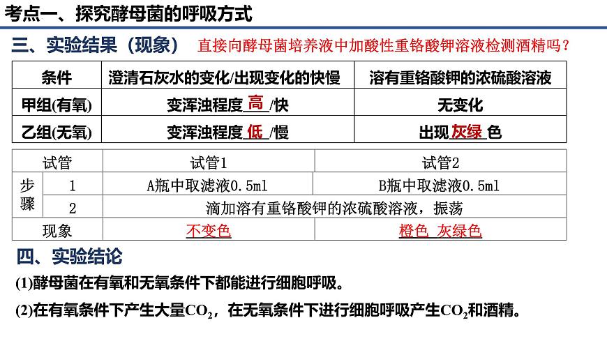 專題07 細(xì)胞呼吸的原理和應(yīng)用-2025年高考生物一輪復(fù)習(xí)課件第4頁