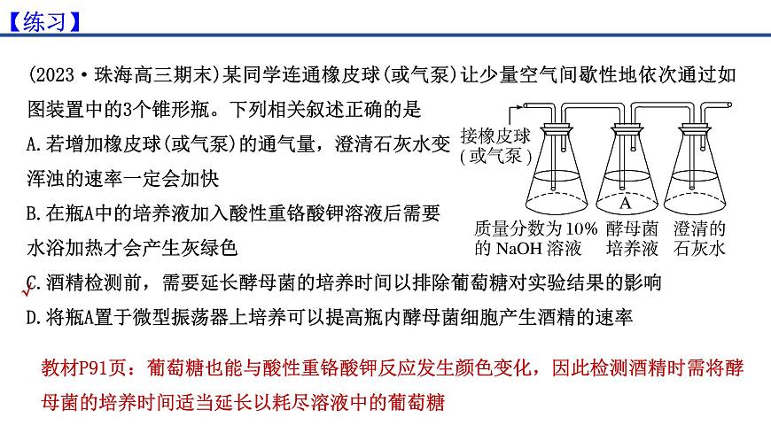 專題07 細(xì)胞呼吸的原理和應(yīng)用-2025年高考生物一輪復(fù)習(xí)課件第5頁