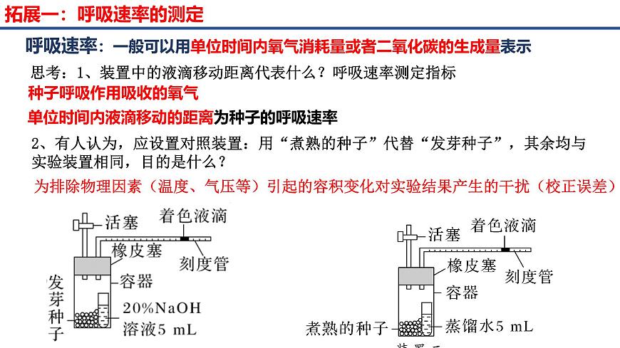 專題07 細(xì)胞呼吸的原理和應(yīng)用-2025年高考生物一輪復(fù)習(xí)課件第6頁
