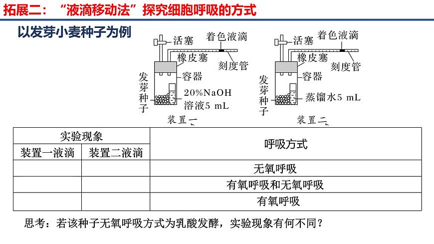 專題07 細(xì)胞呼吸的原理和應(yīng)用-2025年高考生物一輪復(fù)習(xí)課件第7頁