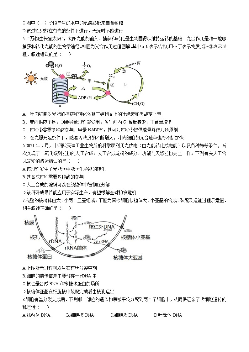 天津市天津市滨海新区天津市滨海新区大港实验中学2024-2025学年高三上学期10月月考生物试题02
