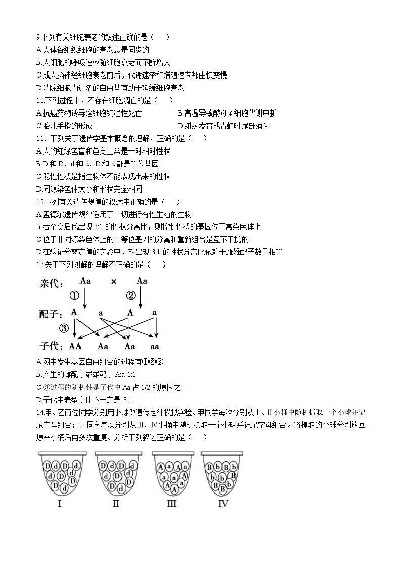 天津市天津市滨海新区天津市滨海新区大港实验中学2024-2025学年高三上学期10月月考生物试题03
