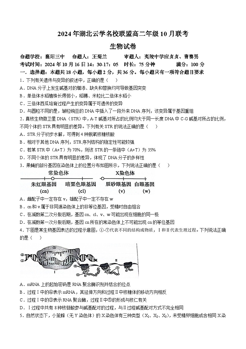 湖北省云学名校联盟2024—2025学年高二上学期10月联考生物试题01