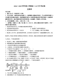 黑龙江省绥化市绥棱县第一中学2024-2025学年高三上学期10月月考生物试题