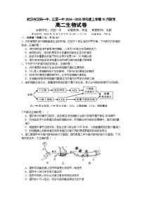 武汉市汉阳一中、江夏一中2024-2025学年高二上学期10月联考生物试卷