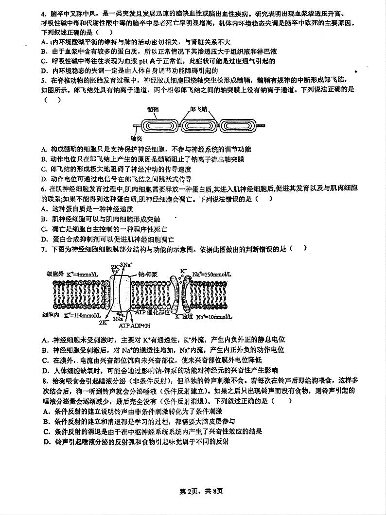 +江西省南昌市第十中学2024-2025学年高二上学期第一次月考生物试题第2页