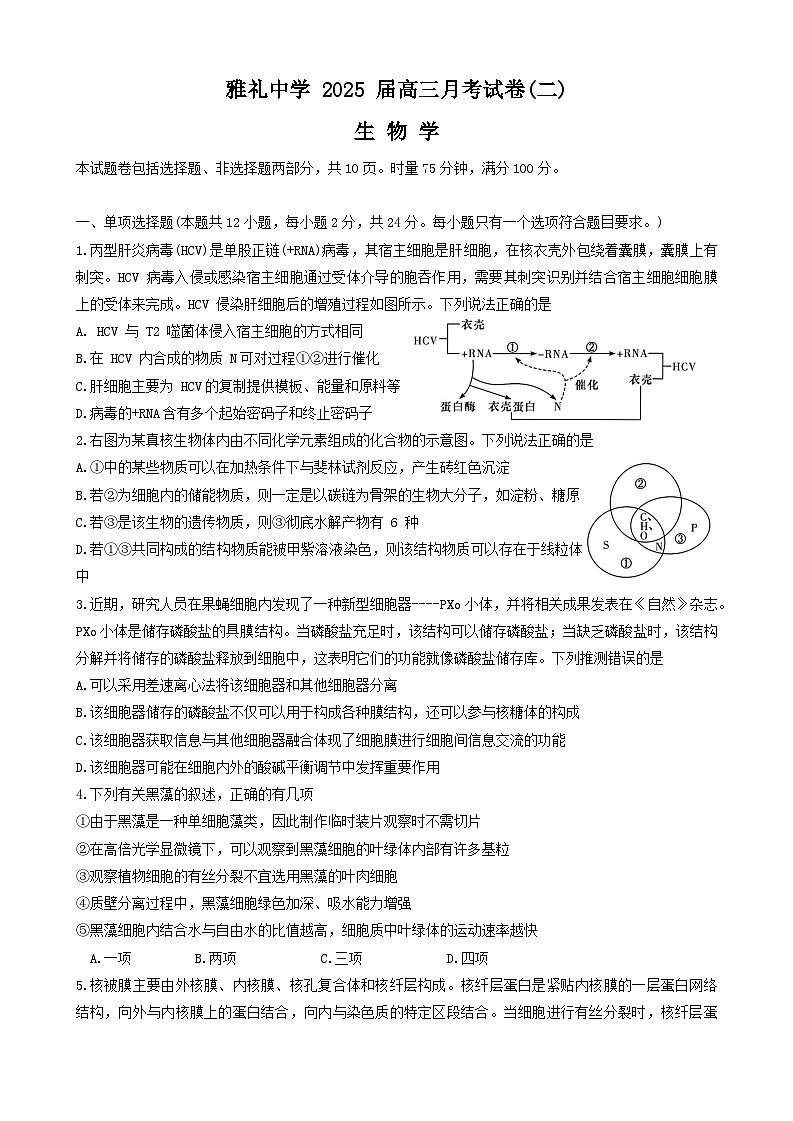 生物学用(雅礼2次)第1页