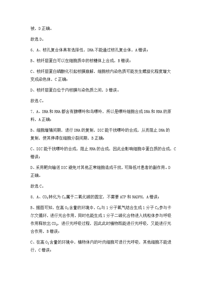 重庆市第四十九中学校2024-2025学年高三上学期第一学月考试生物试题03