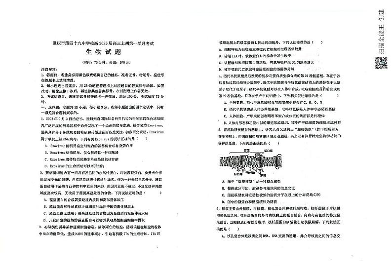 重庆市第四十九中学校2024-2025学年高三上学期第一学月考试生物试题01