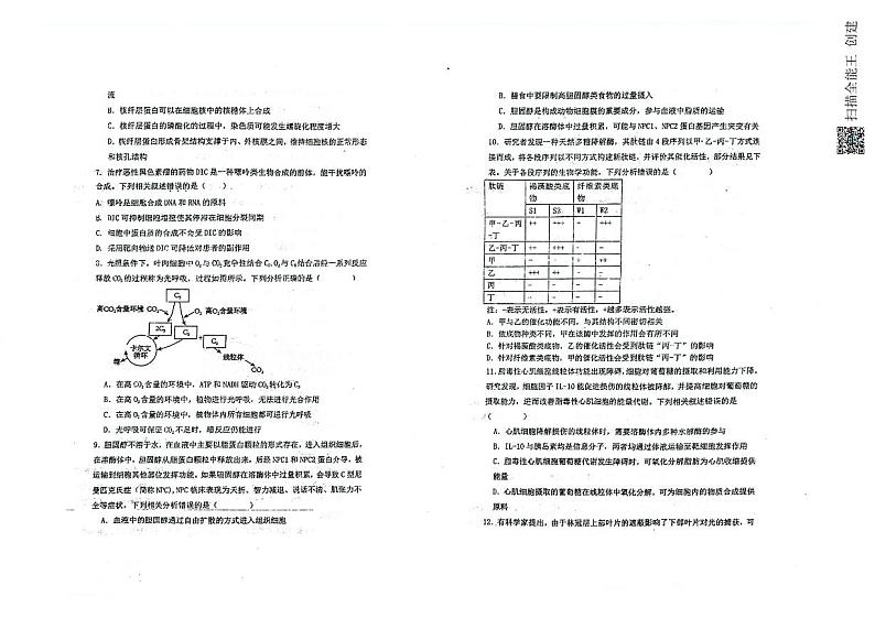 重庆市第四十九中学校2024-2025学年高三上学期第一学月考试生物试题02