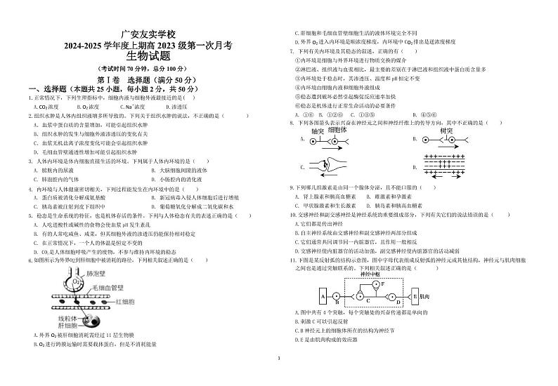 四川省广安市友实学校2024-2025学年高二上学期第一次月月考生物试题第1页