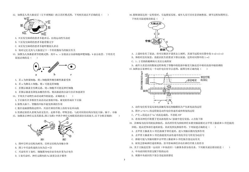 四川省广安市友实学校2024-2025学年高二上学期第一次月月考生物试题第2页