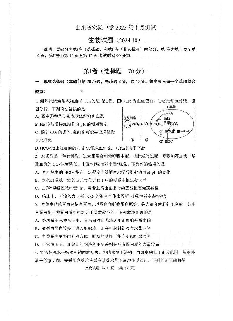 山东省实验中学2024-2025学年高二上学期10月月考生物试题(PDF版附答案)01