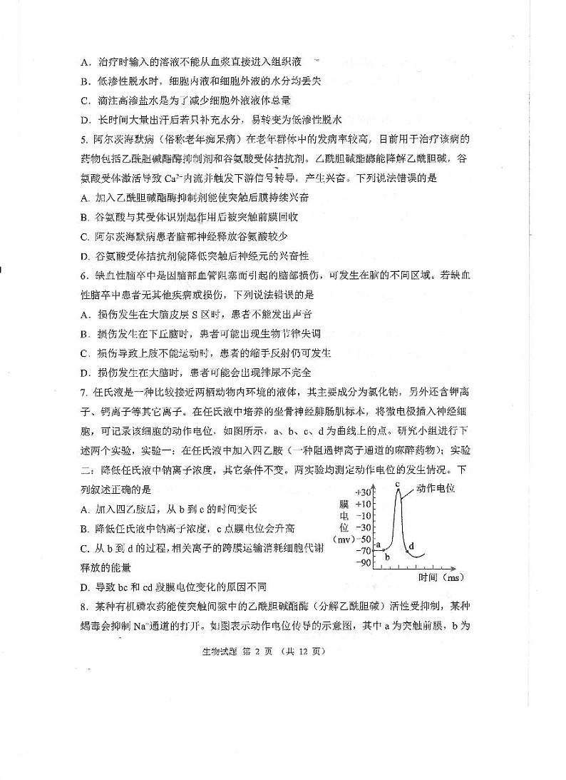 山东省实验中学2024-2025学年高二上学期10月月考生物试题(PDF版附答案)02