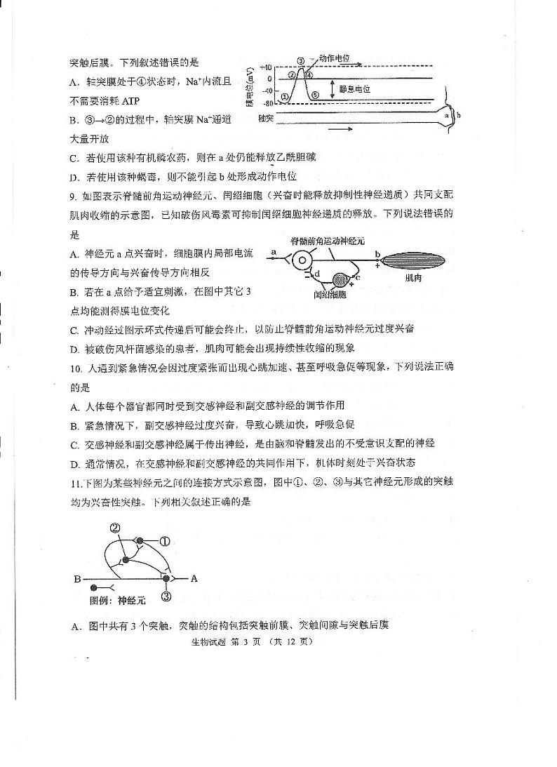 山东省实验中学2024-2025学年高二上学期10月月考生物试题(PDF版附答案)03
