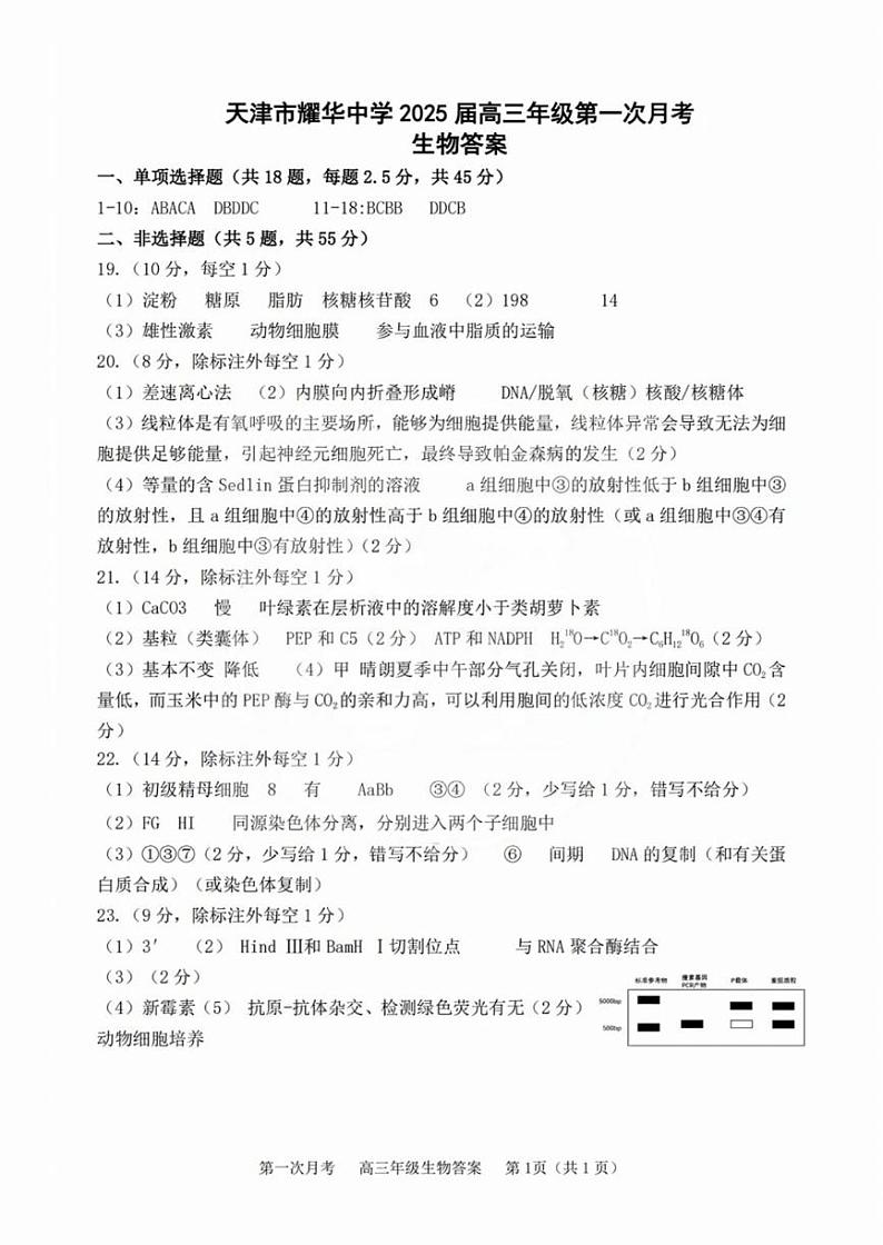 天津市耀华中学2024-2025学年高三上学期第一次月考生物试题(Word版附答案)01