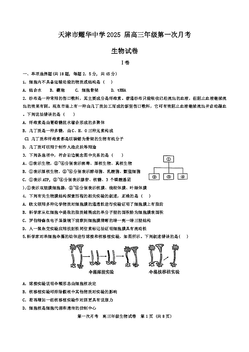 天津市耀华中学2024-2025学年高三上学期第一次月考生物试题(Word版附答案)01