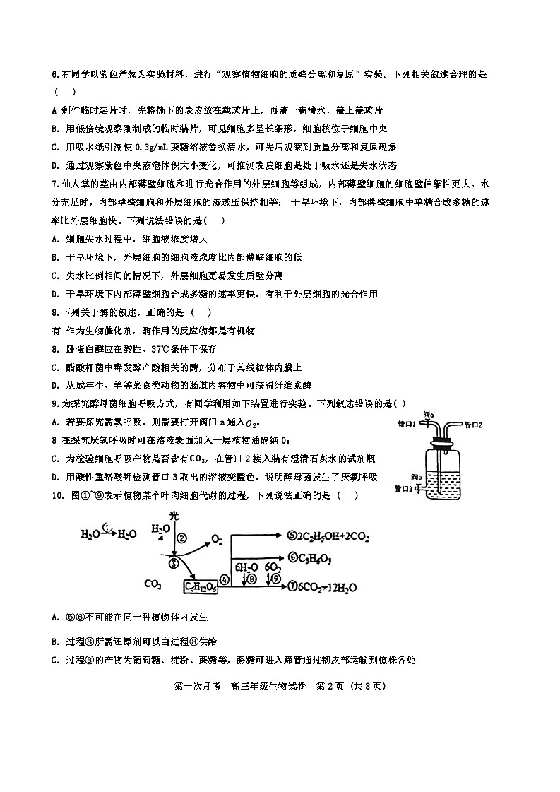 天津市耀华中学2024-2025学年高三上学期第一次月考生物试题(Word版附答案)02