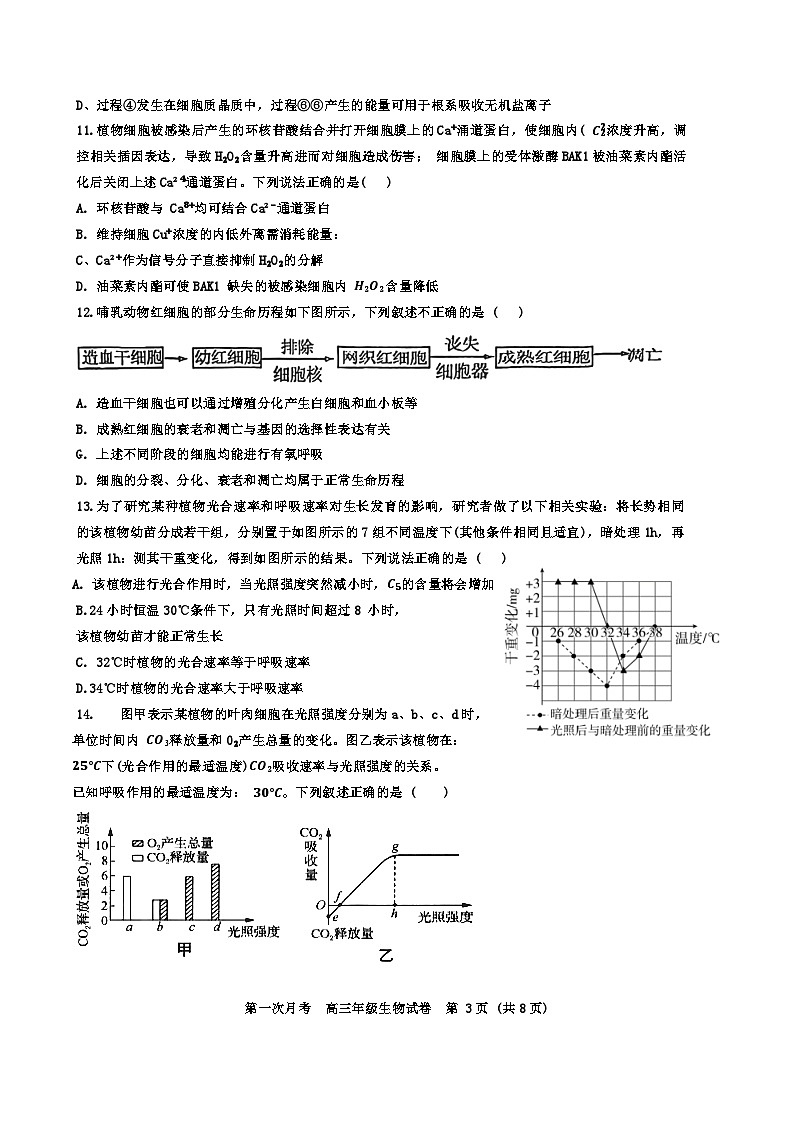 天津市耀华中学2024-2025学年高三上学期第一次月考生物试题(Word版附答案)03