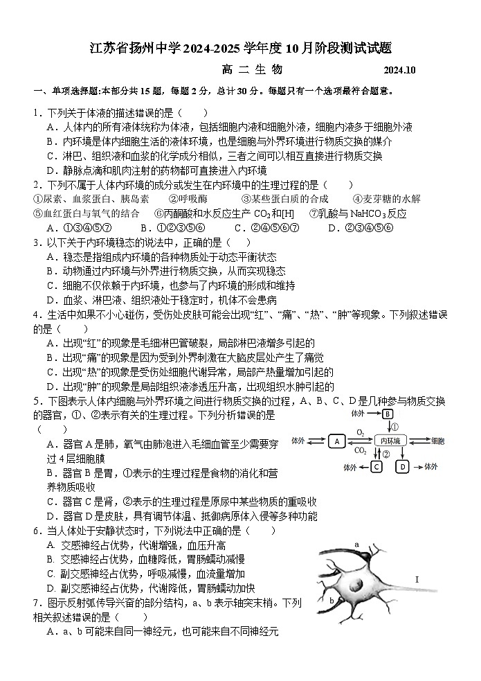 江苏省扬州中学2024-2025学年高二上学期10月月考生物试题(Word版附答案)01