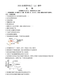 2023北京四中高二上学期期中生物试卷(教师版)
