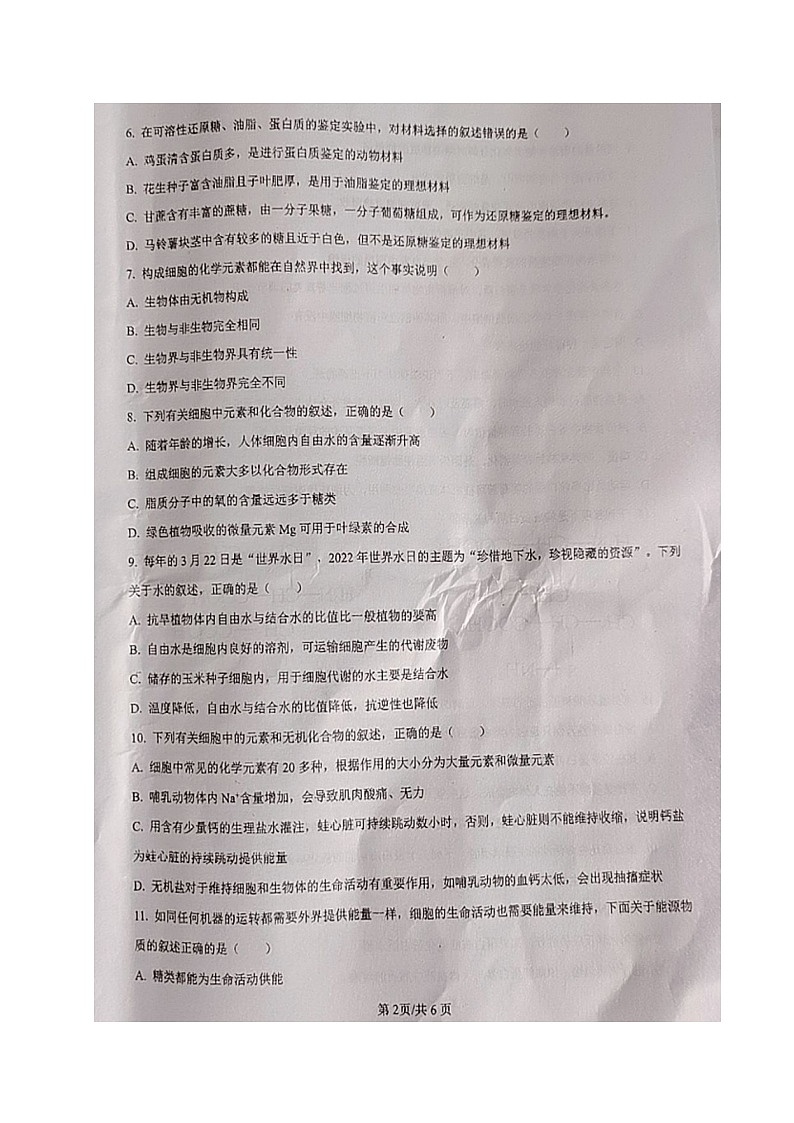 四川省成都市龙泉驿区实验中学校2024-2025学年高一上学期第一次月考生物试题第2页