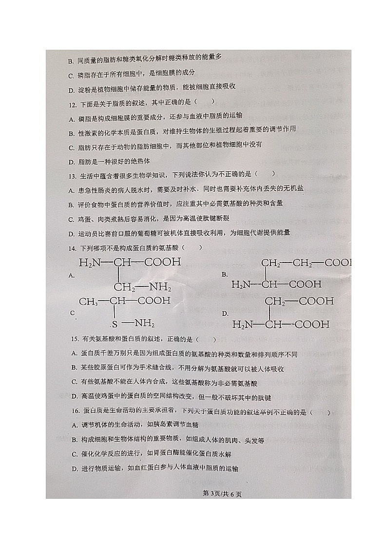 四川省成都市龙泉驿区实验中学校2024-2025学年高一上学期第一次月考生物试题第3页