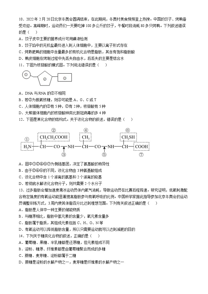 江西省宜春实验中学2022-2023学年高一上学期期中考试生物试题(无答案)第2页