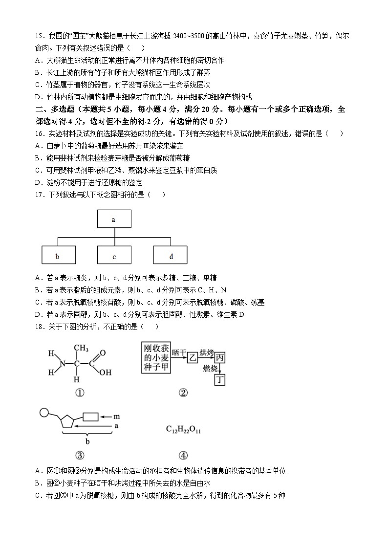 江西省宜春实验中学2022-2023学年高一上学期期中考试生物试题(无答案)第3页