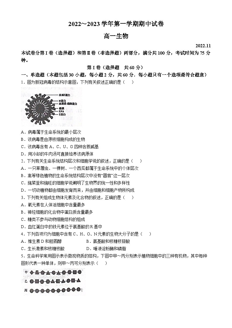 江苏省常熟市伦华高级中学2022-2023学年高一上学期11月期中生物试题(无答案)第1页