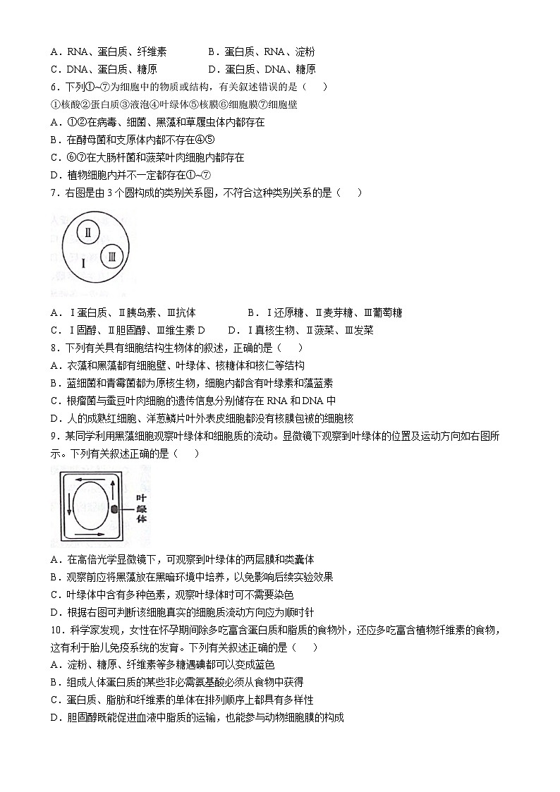 江苏省常熟市伦华高级中学2022-2023学年高一上学期11月期中生物试题(无答案)第2页