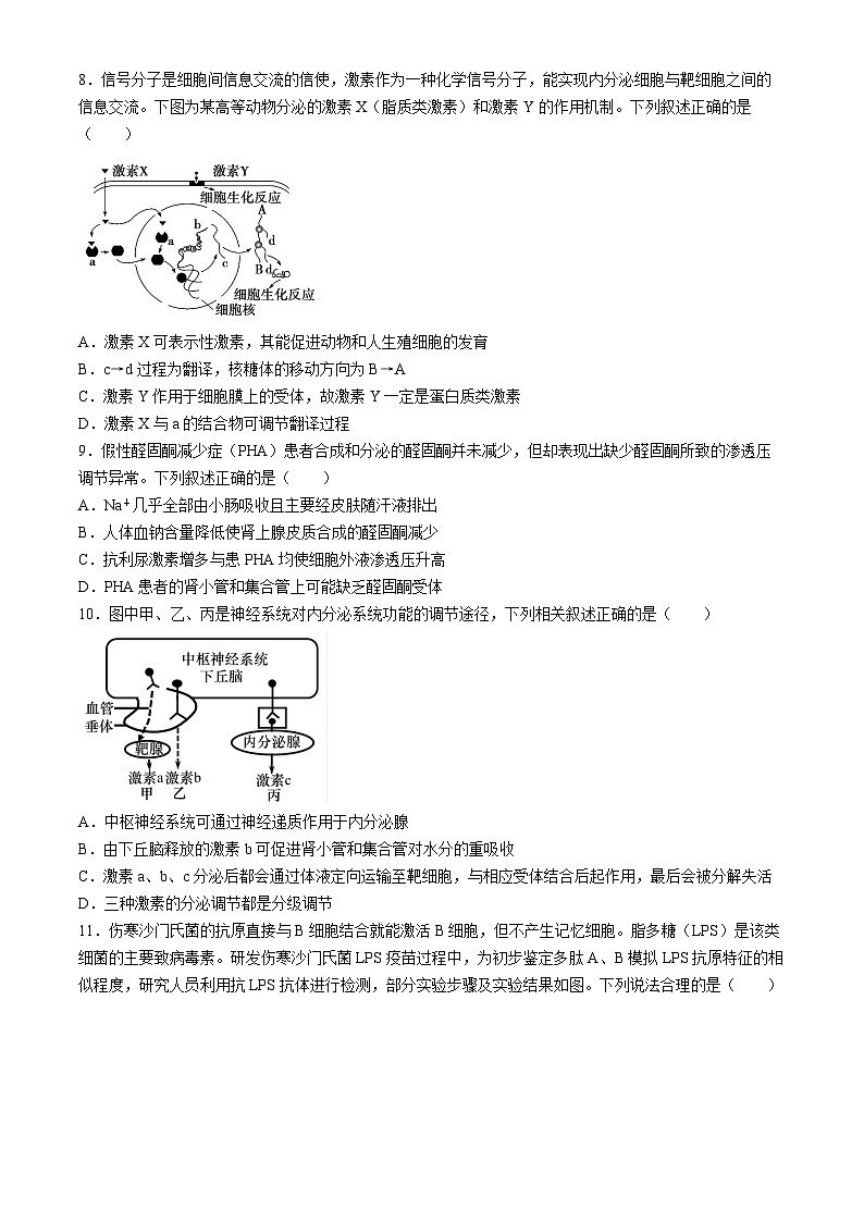 湖南省衡阳市第八中学2024-2025学年高二上学期第一次月考生物试题(无答案)第3页