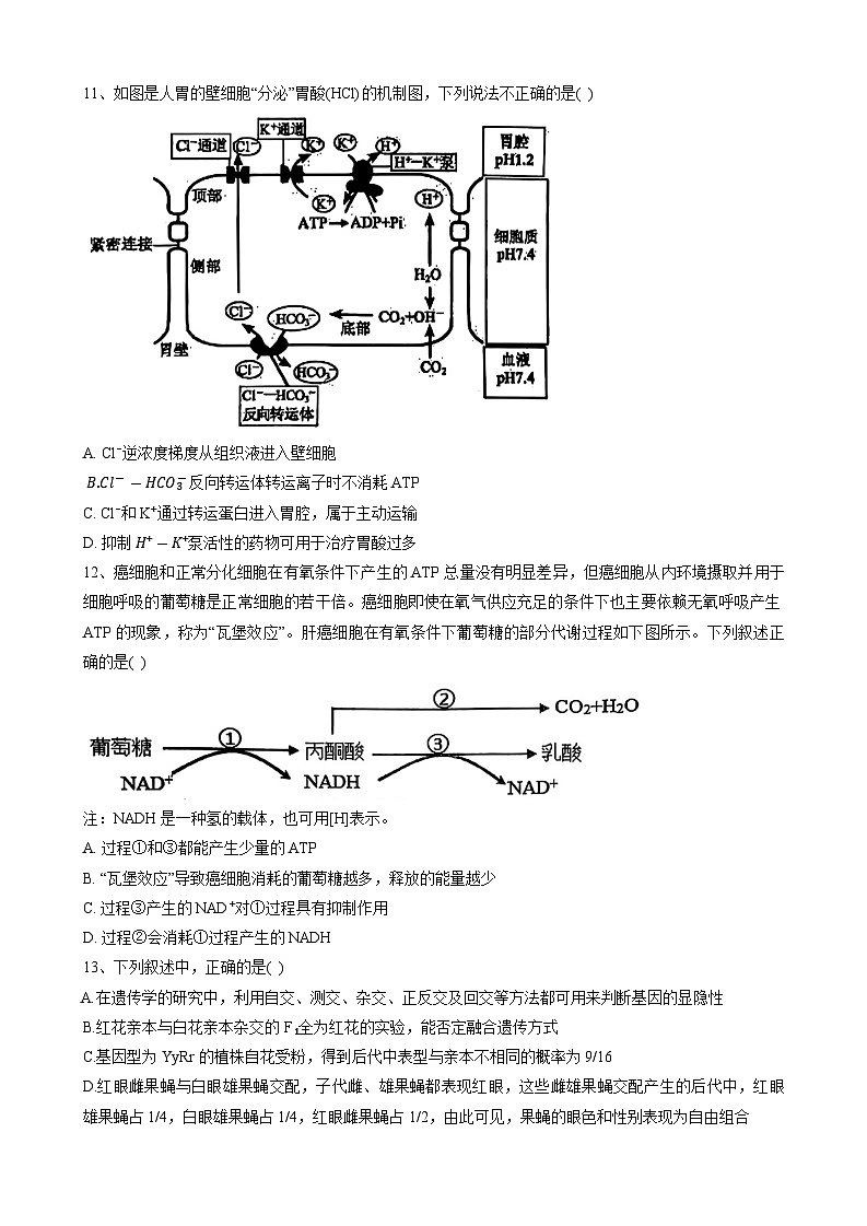 辽宁省大连市滨城高中联盟20242025学年高三上学期期中考试(一)生物试卷第3页