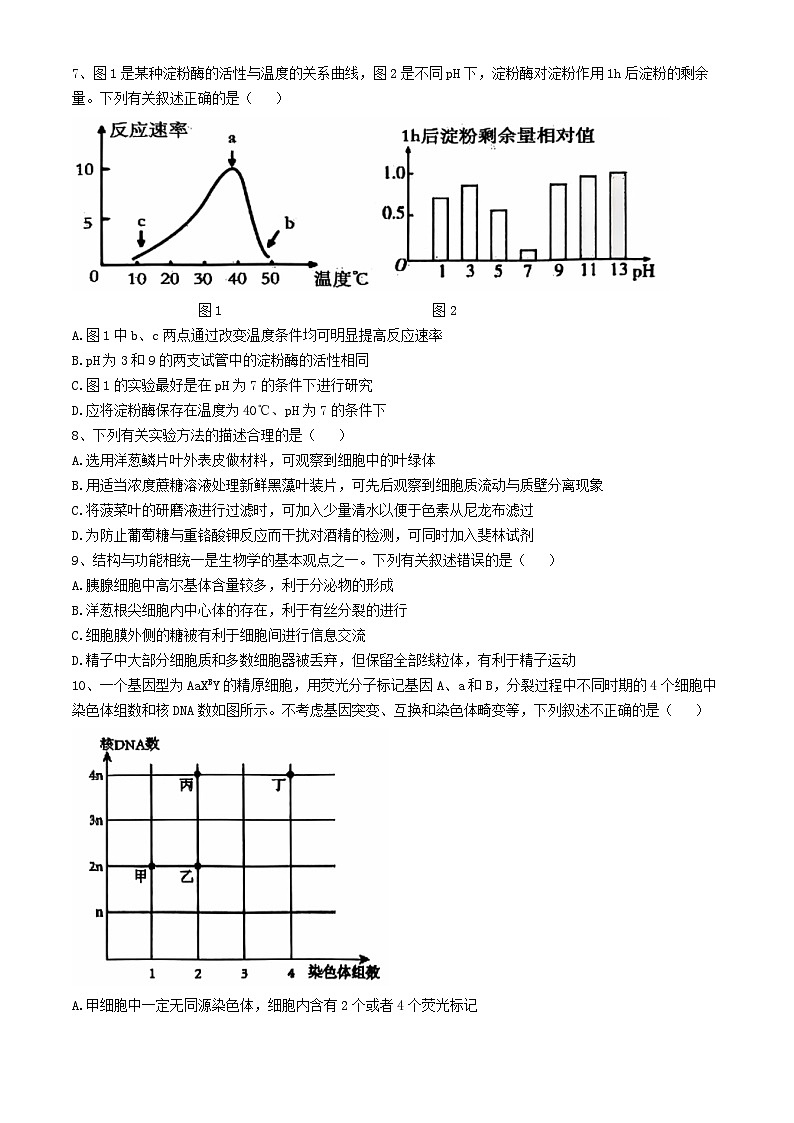 辽宁省大连市滨城高中联盟2024-2025学年高三上学期期中考试(一)生物试卷(无答案)02