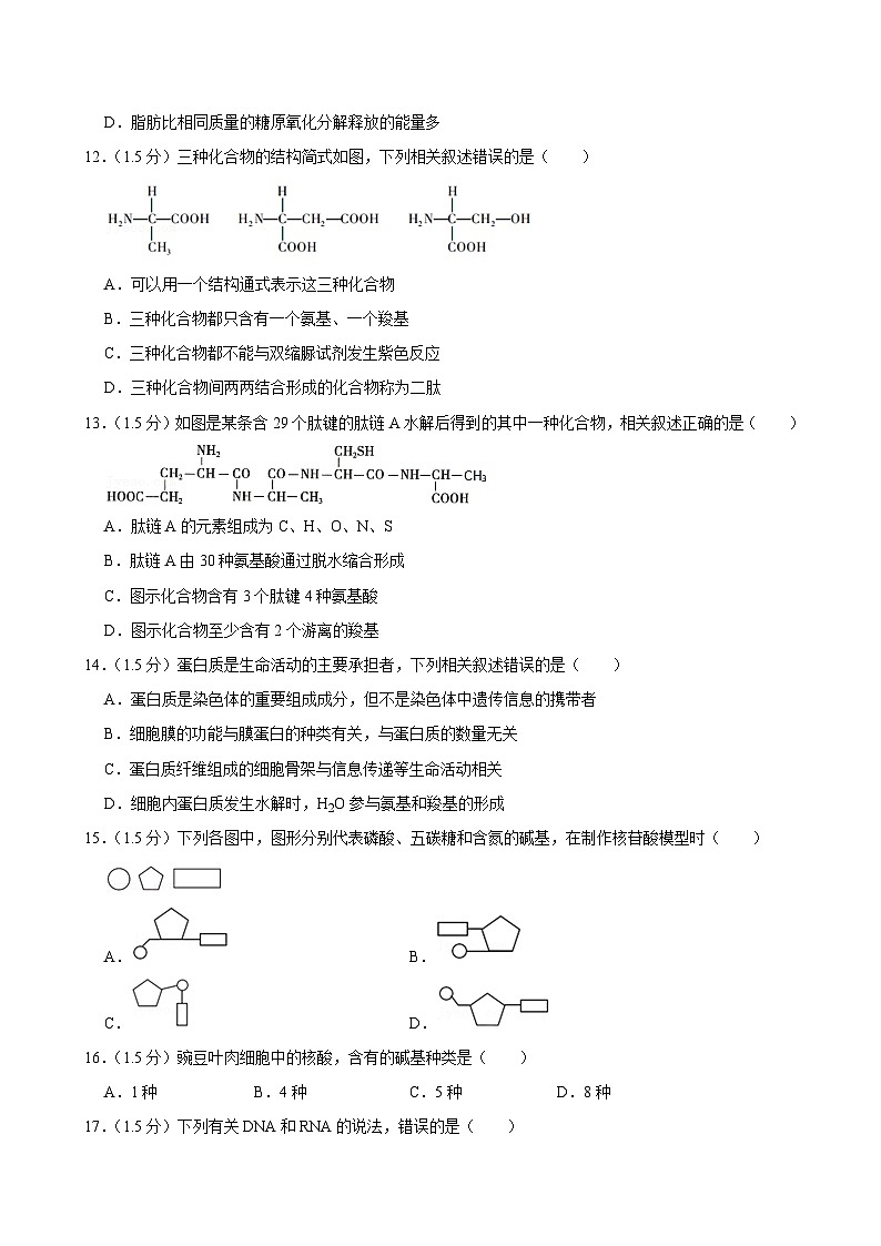 云南省昆明市十四中2023-2024学年高一上学期期中考试生物试卷第3页