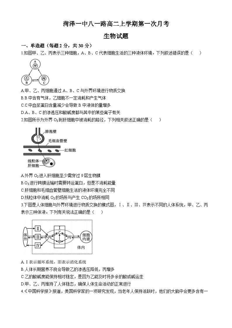 山东省菏泽市第一中学2024-2025学年高二上学期第一次月考生物试题第1页